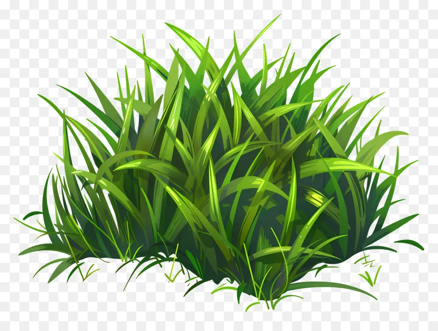 La Hierba，Las Plantas Verdes PNG