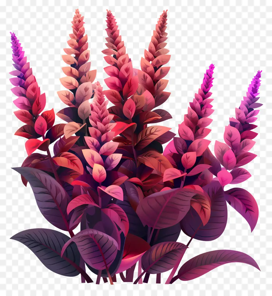 El Amaranto，Flores De Color Rosa PNG