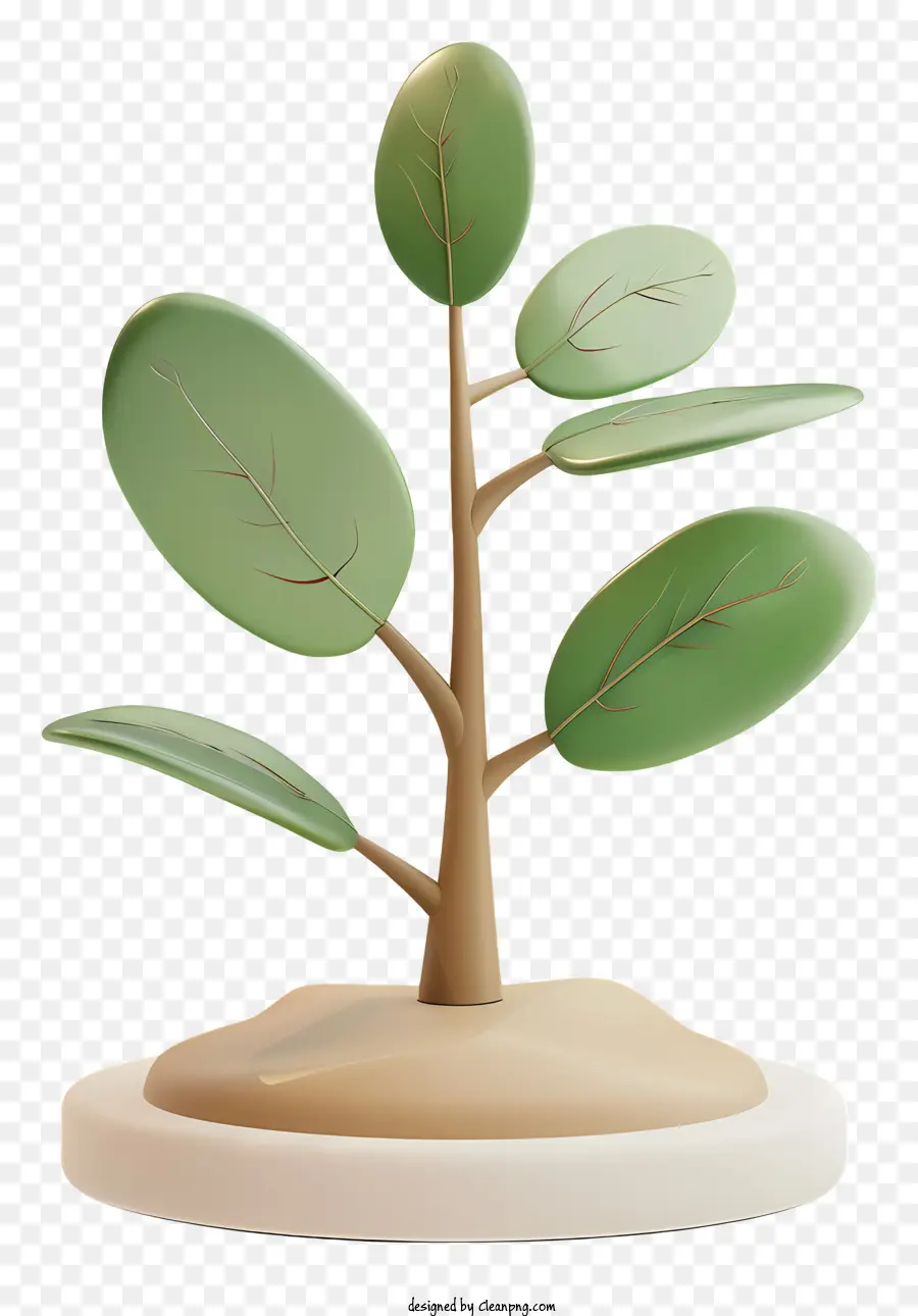 Arbolito，Planta Verde PNG