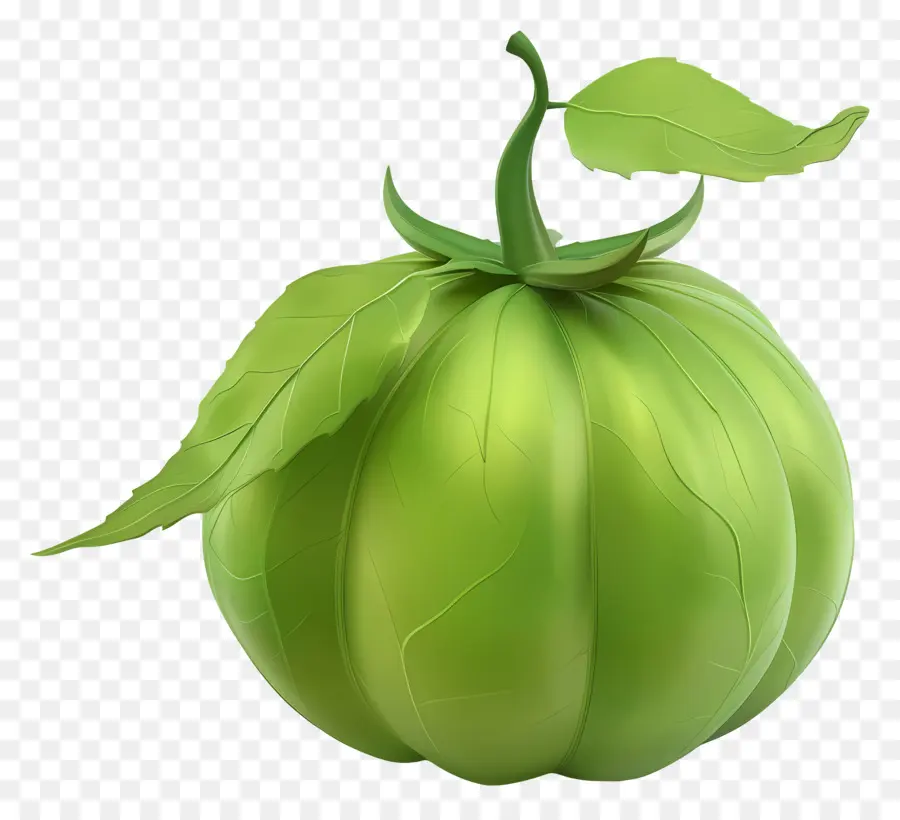 Tomatillo，Lechuga PNG