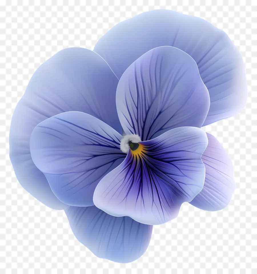 Pansy Flor，Pétalos Azul PNG