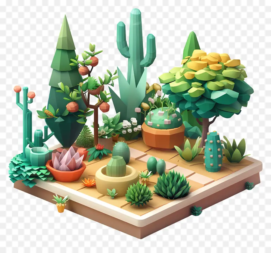 Jardín，Cactus PNG