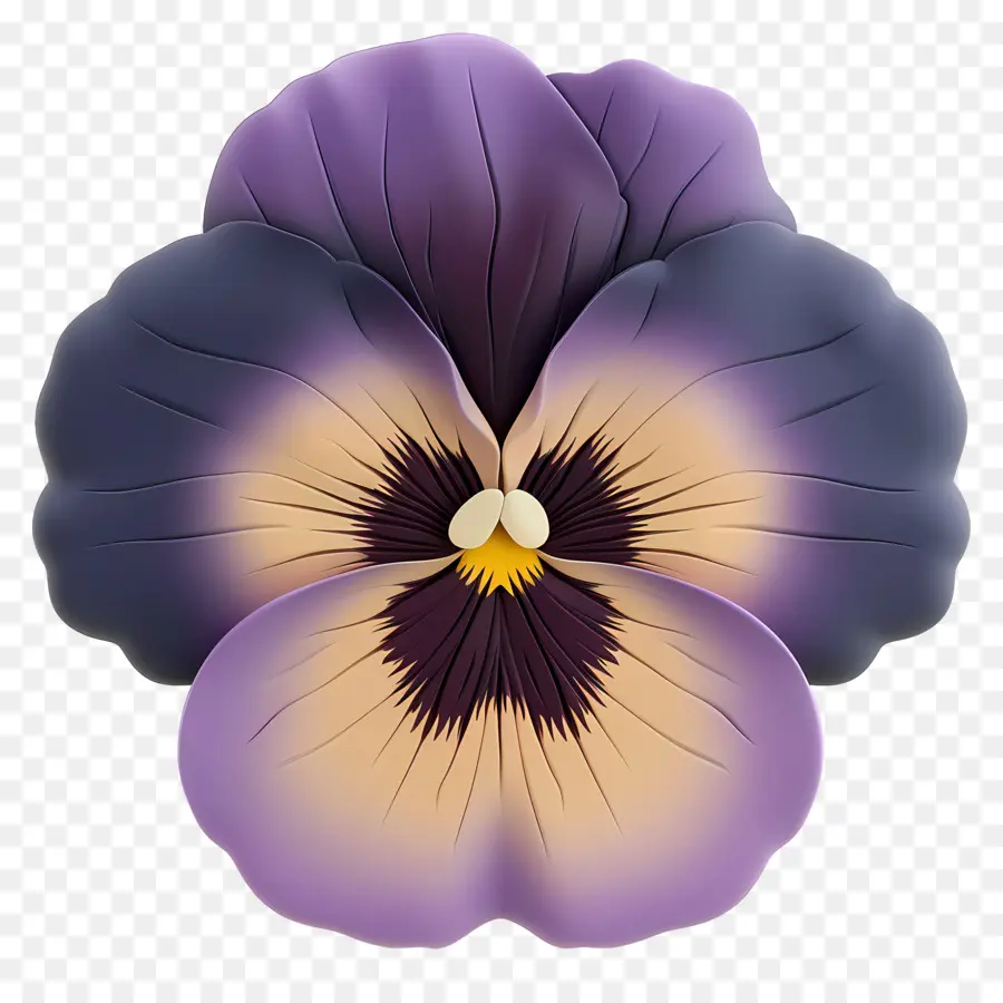 Pansy Flor，Flor De Pánsica Púrpura PNG