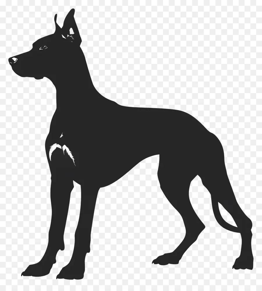 Perro Silueta，El Doberman Pinscher PNG