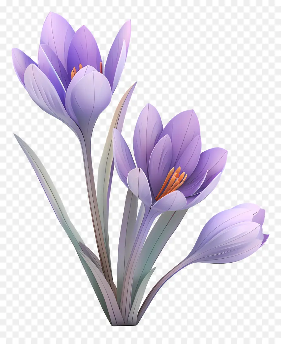 Crocus，Flores De Azafrán PNG