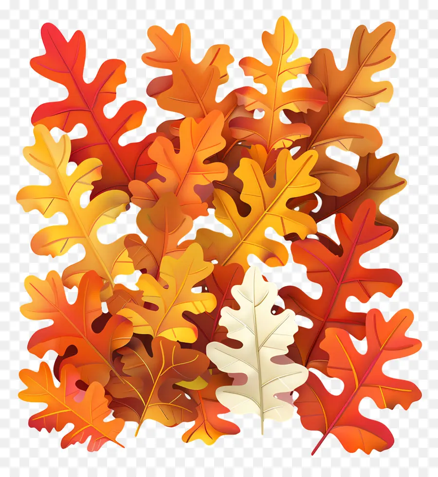 Autumn Leaves，Hojas De Roble PNG