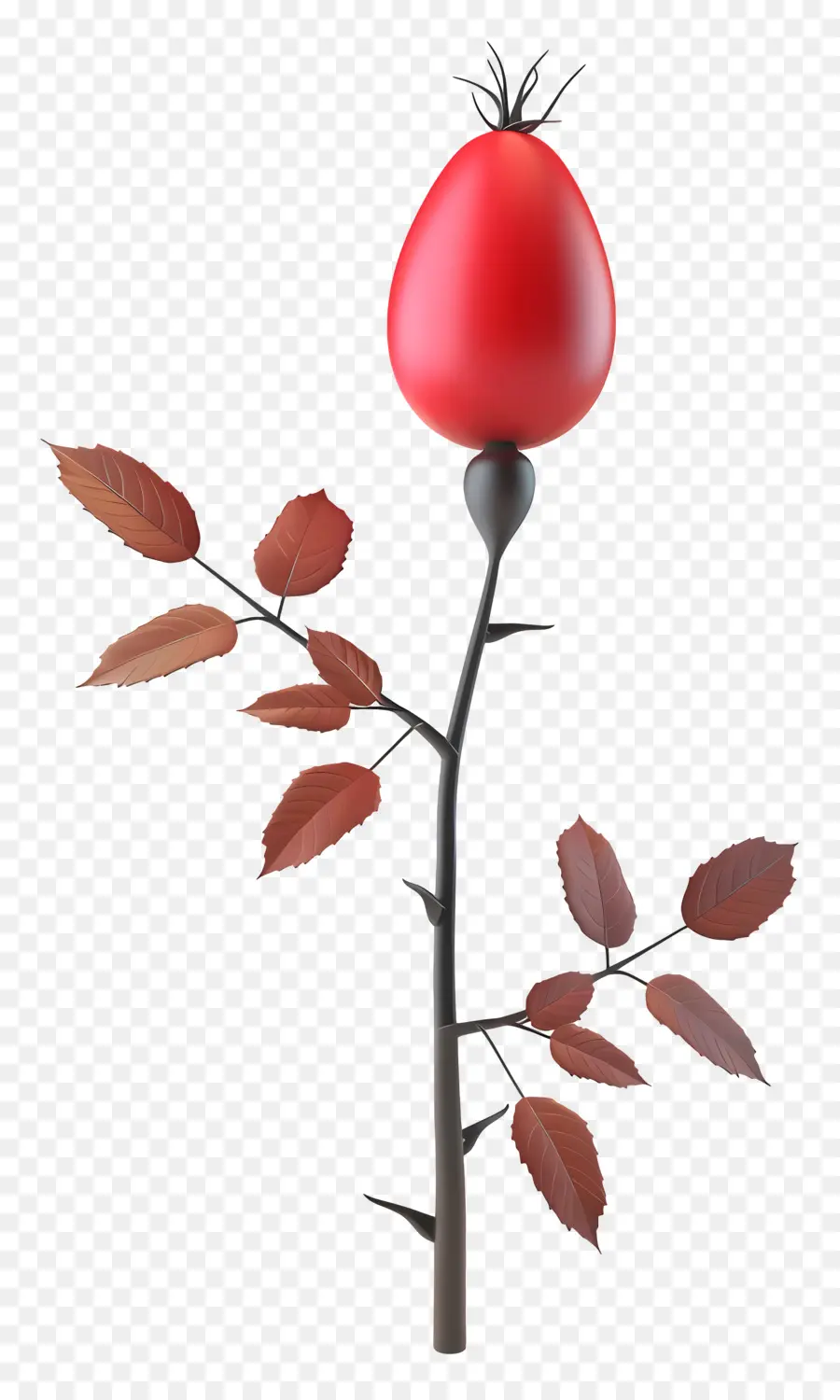 Rosa Mosqueta，Rosa Roja PNG