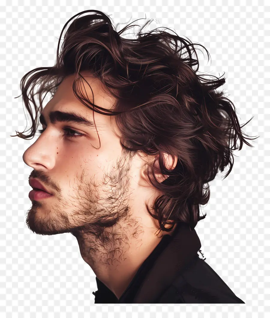 El Hombre De Cabello，Hombre PNG