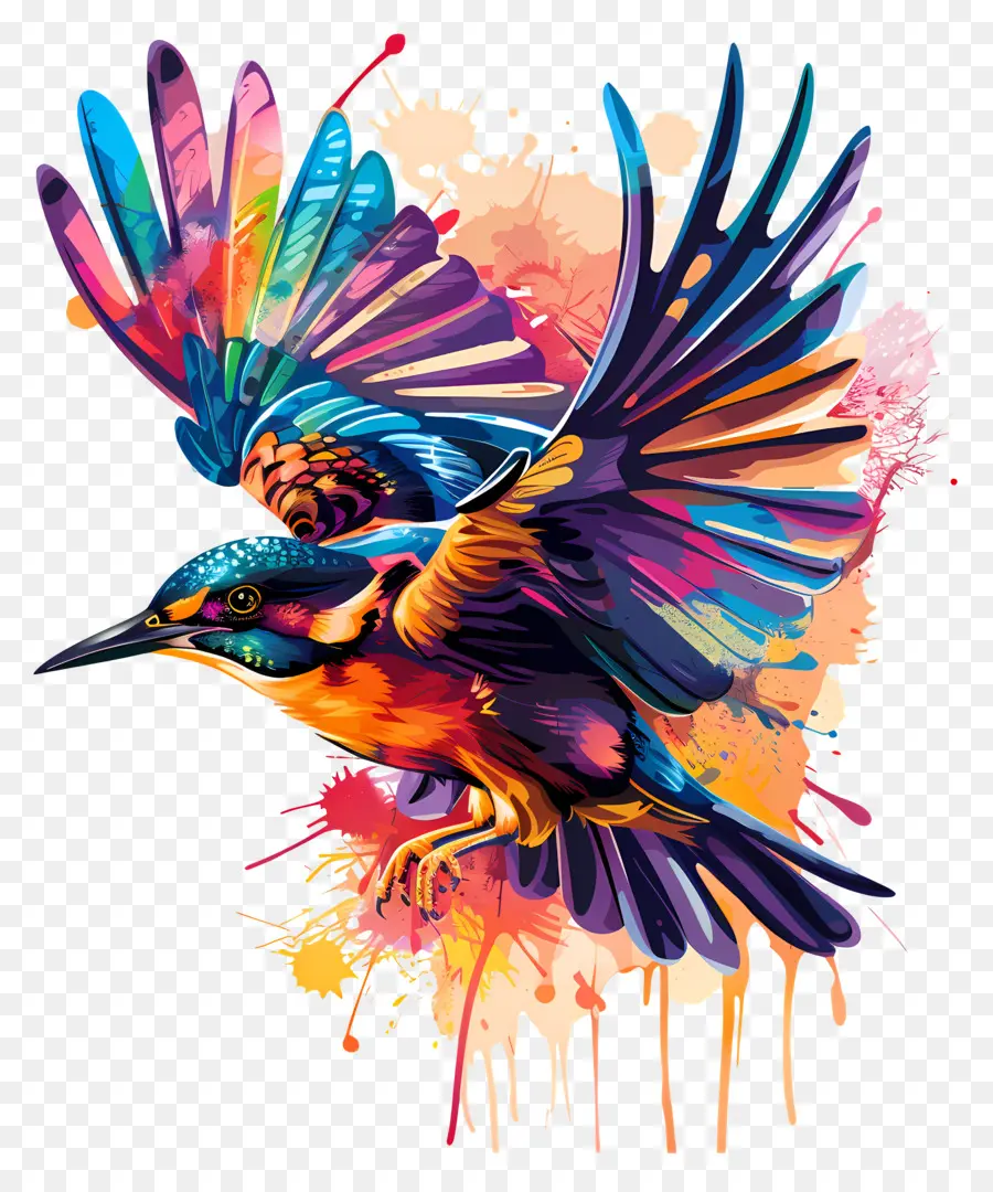 Día De Las Aves，Pájaro De Colores PNG