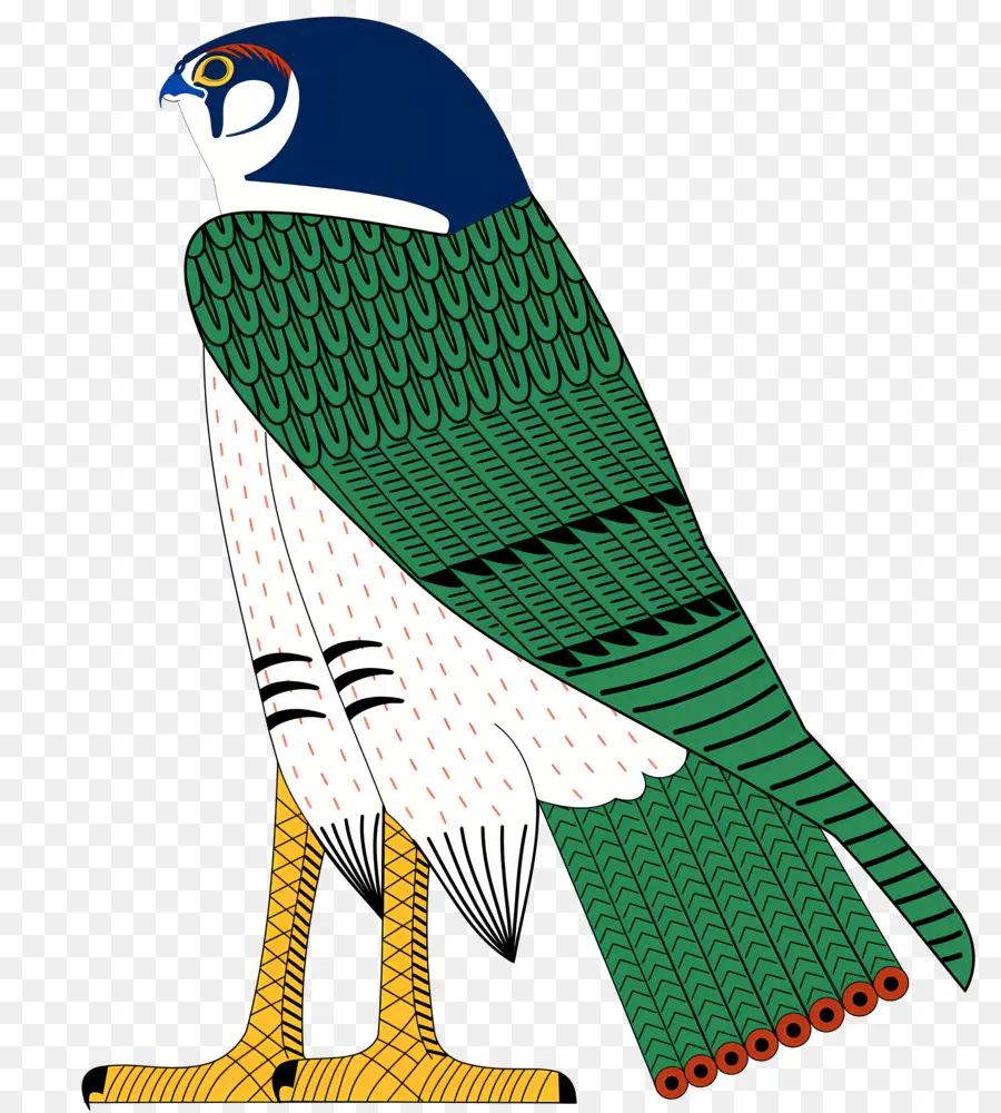 Egipto，Aves PNG