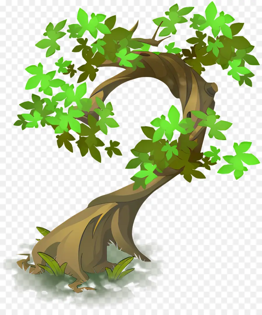 Árbol，árbol Ornamental PNG