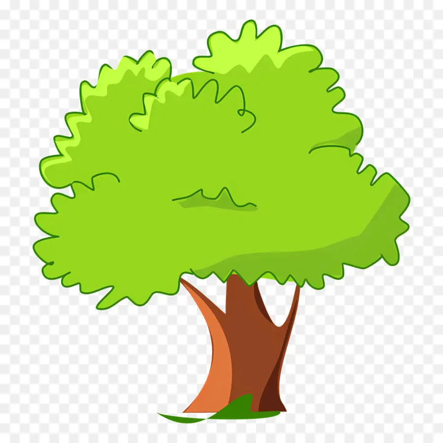 Árbol，árbol Verde PNG