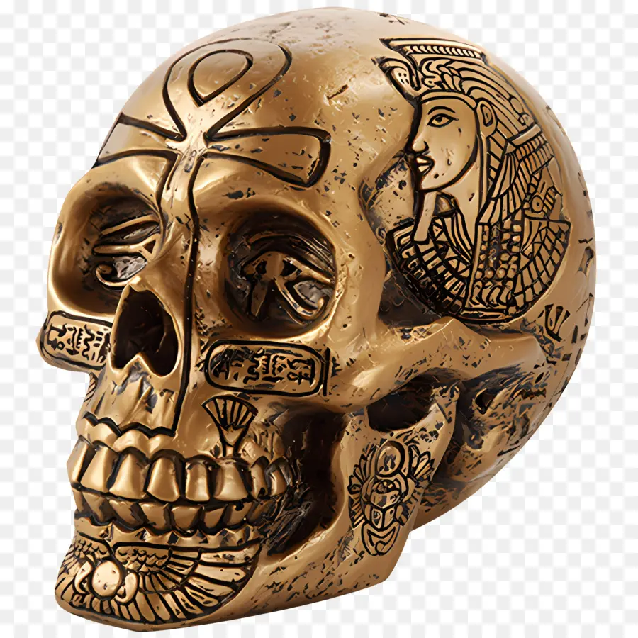 Egipto，Oro Cráneo PNG