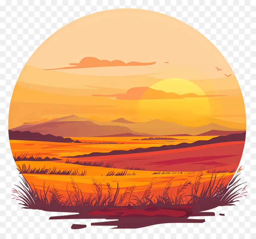 Fondo Del Campo Del Atardecer，Atardecer PNG