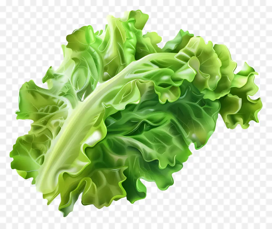 Lechuga，Los Vegetales De Hojas Verdes PNG