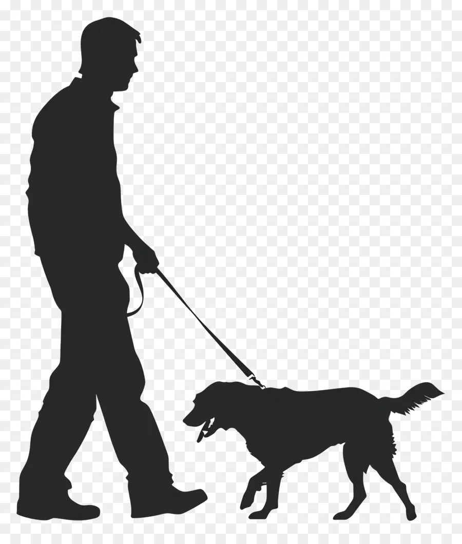 Perro Silueta，Pasear Al Perro PNG