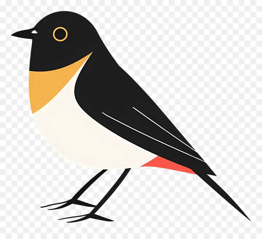 Día De Las Aves，Pájaro Blanco Y Negro PNG