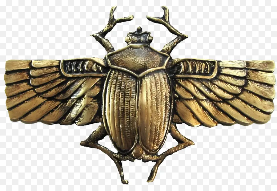 Egipto，Escarabajo PNG