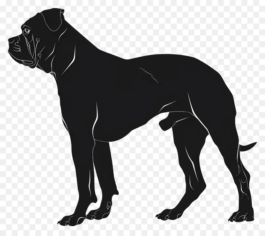 Perro Silueta，Perro Negro PNG