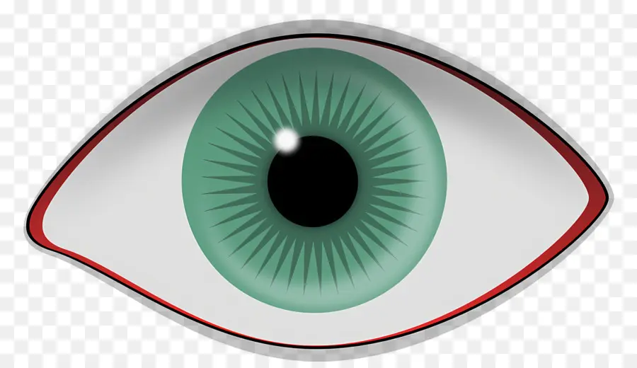 Protección De Los Ojos，Cuidado De Los Ojos PNG