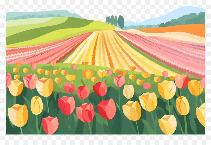 Campo De Tulipán，Los Tulipanes PNG