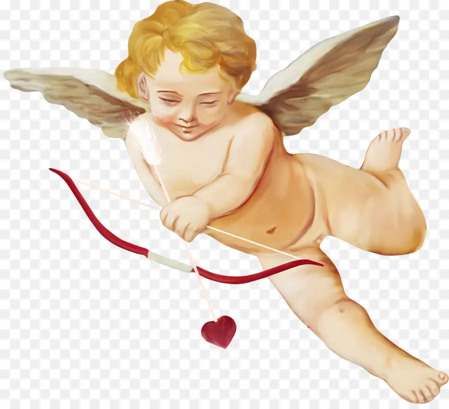 Cupido，El Amor PNG