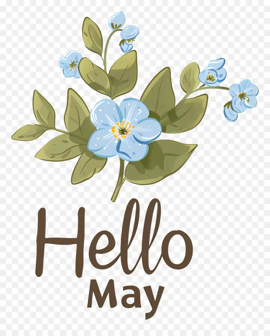 Hola De Mayo，Flores De Color Azul PNG