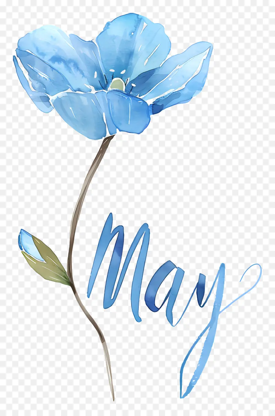 Hola De Mayo，Watercolor Flower PNG