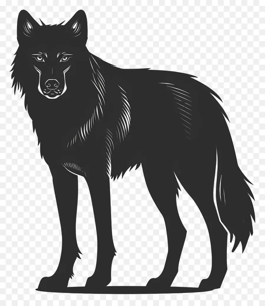 Lobo Silueta，Lobo PNG