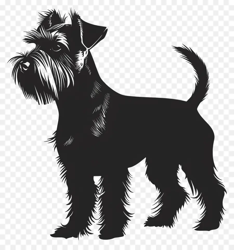 Perro Silueta，Perro Pequeño PNG