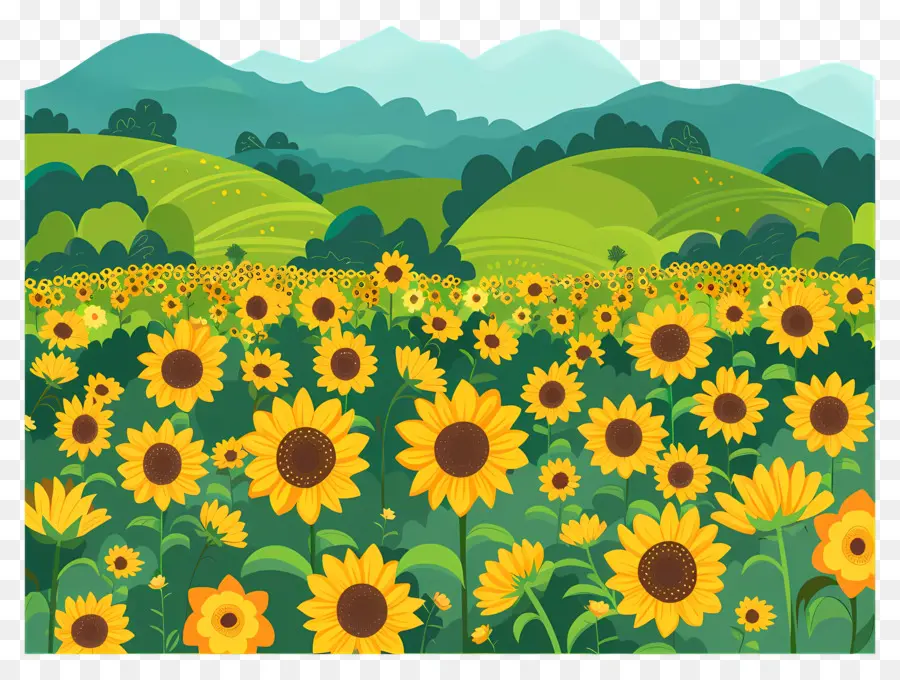 Fondo De Campo De Girasol，Los Girasoles PNG