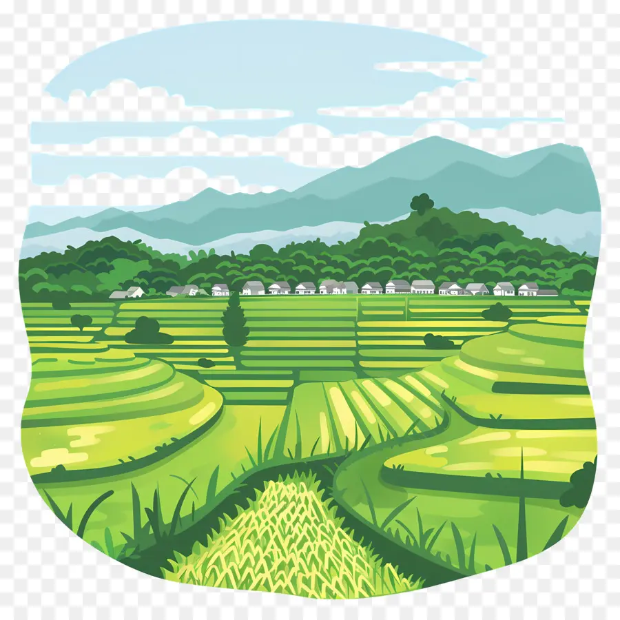 Campo De Arroz，La Pintura De Paisaje PNG