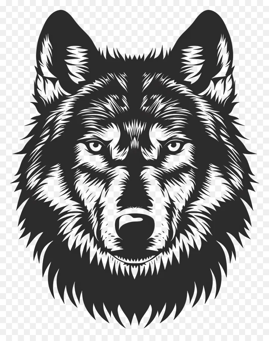 Lobo Silueta，Lobo PNG