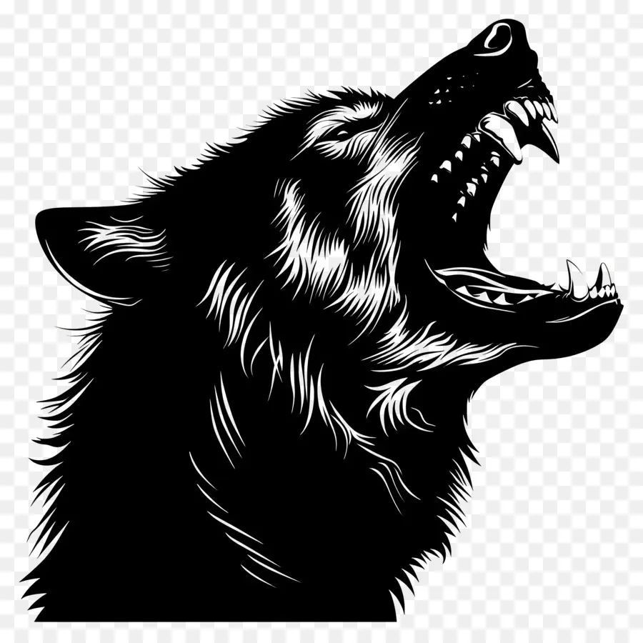 Lobo Silueta，Lobo PNG