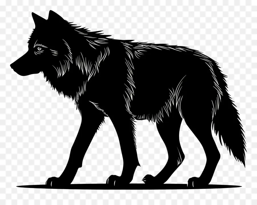 Lobo Silueta，Lobo PNG