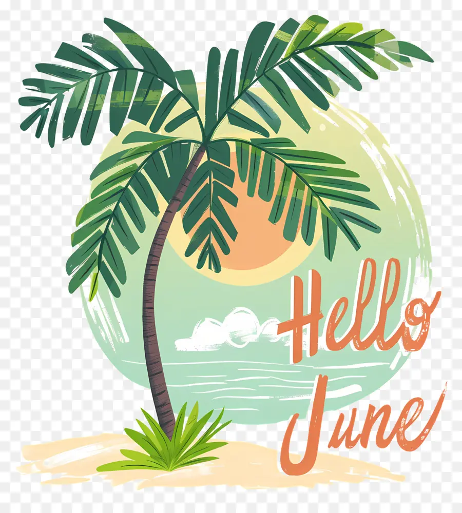 Hola De Junio，Palmera PNG