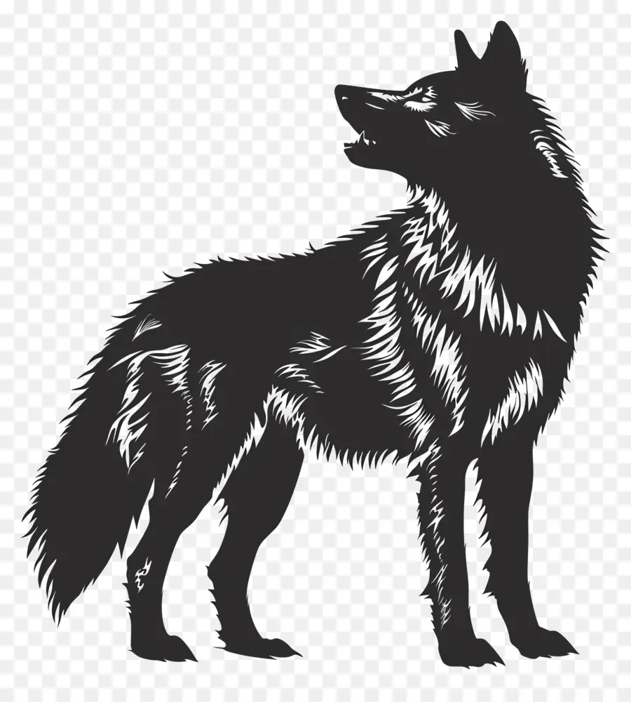 Lobo Silueta，Lobo PNG