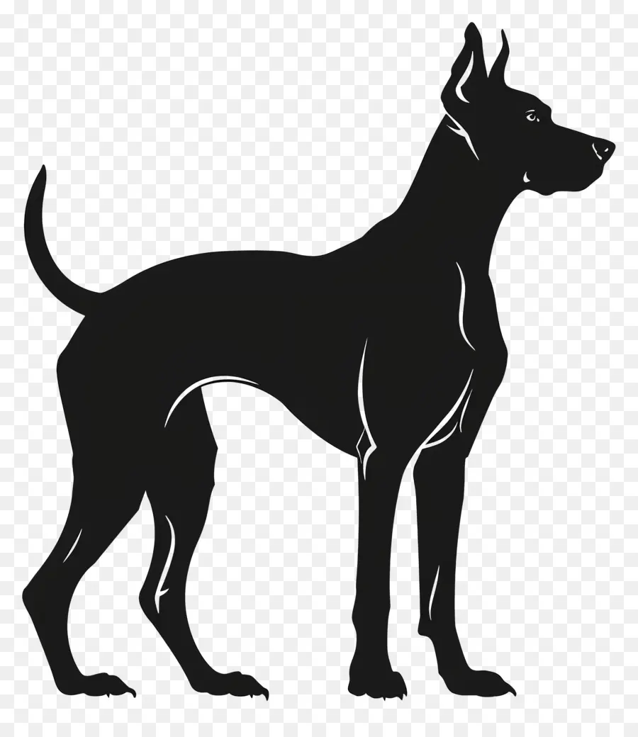 Silueta De Perro，Perro PNG