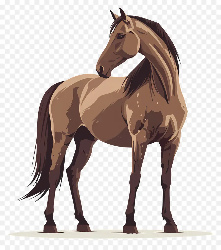 Caballo De Pie，Caballo PNG