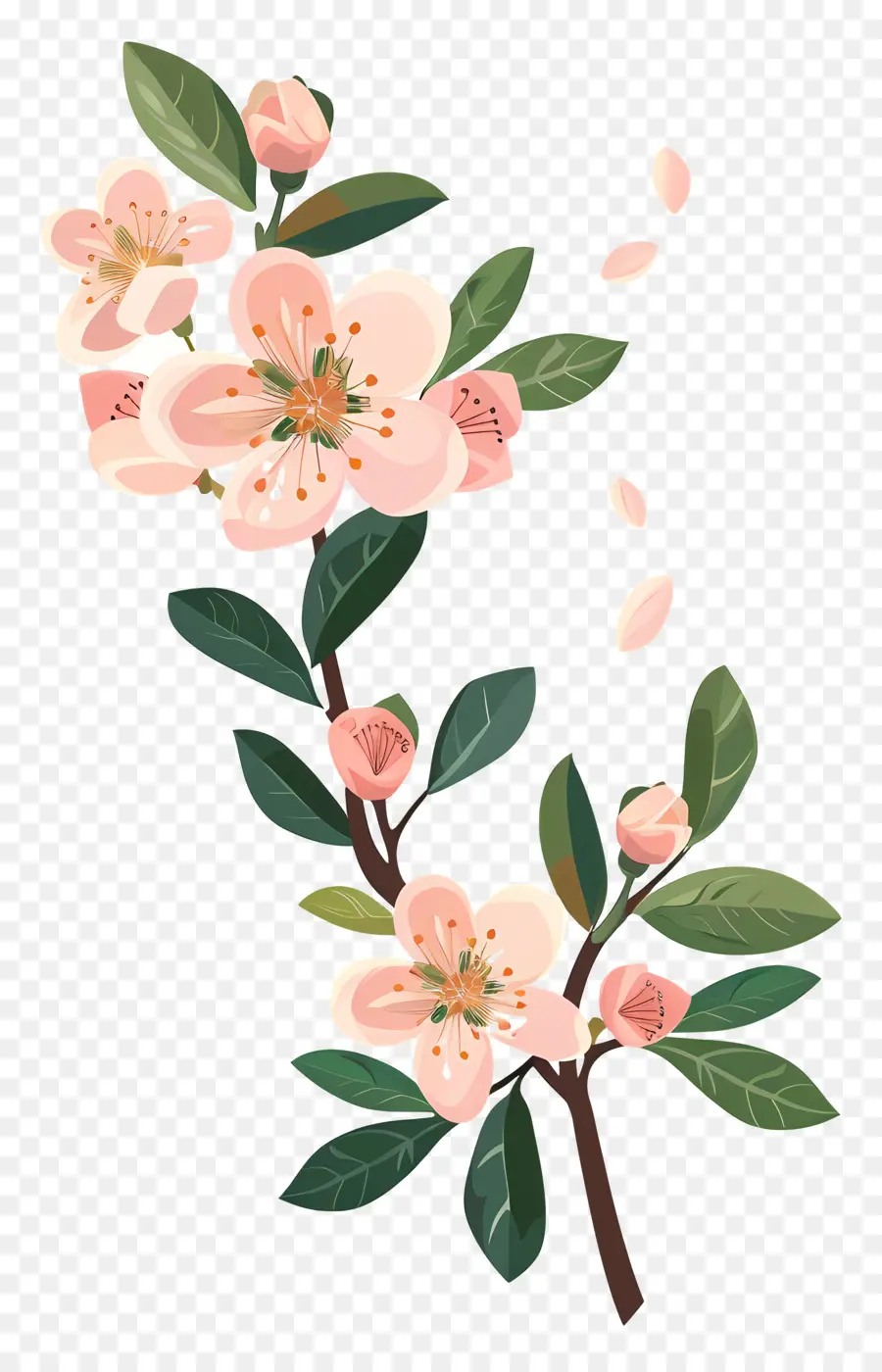 Flor De Durazno，De Los Cerezos En Flor PNG