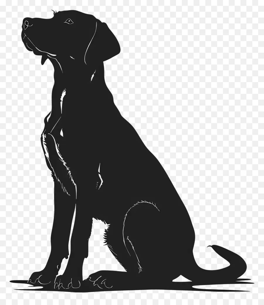 Perro Silueta，Perro Negro PNG