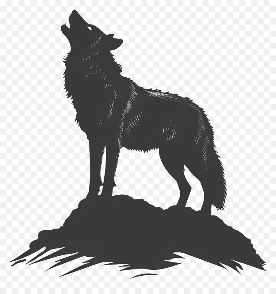 Lobo Silueta，Lobo PNG