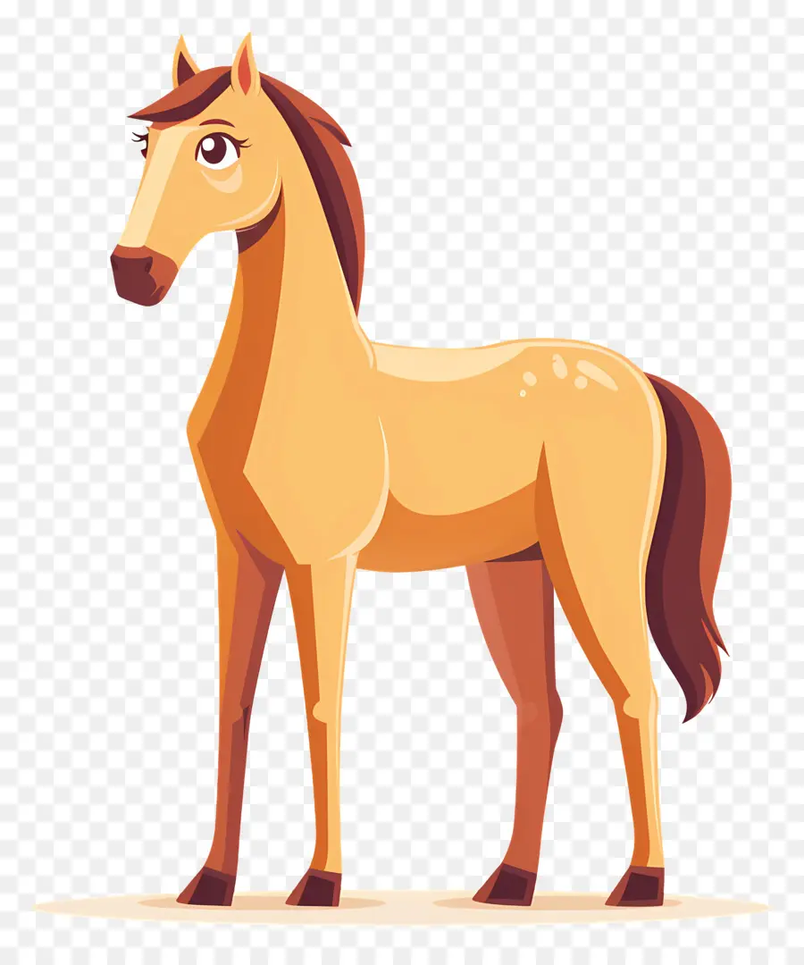 Dibujos Animados De Caballos，Caballo PNG