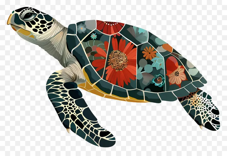 Tortuga De Mar，Tortuga PNG