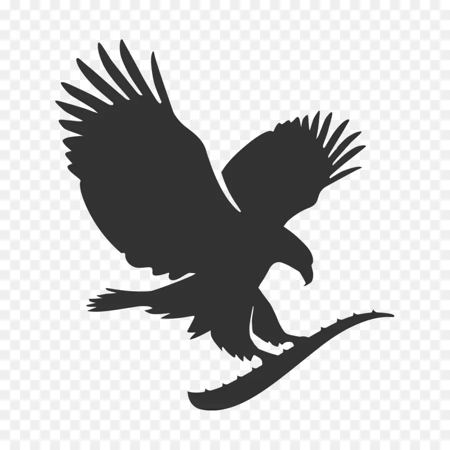 águilas Logotipo，Mujer PNG