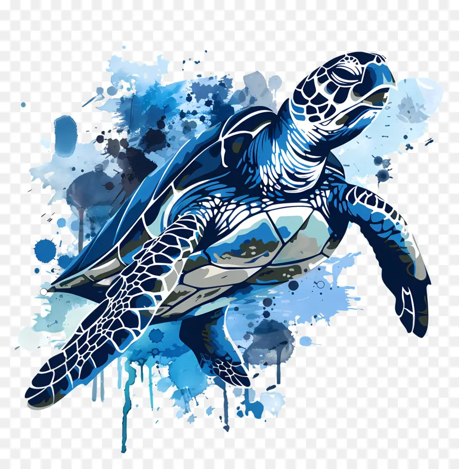 Tortuga De Mar，Tortuga PNG