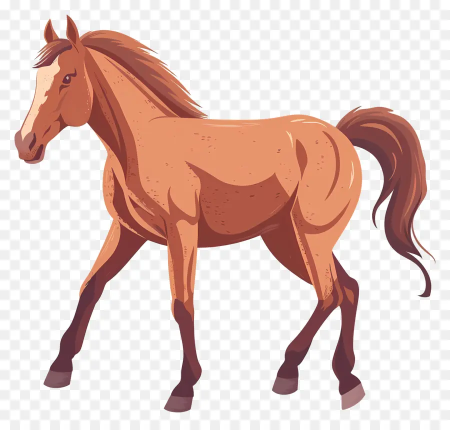 Dibujos Animados De Caballos，Caballo PNG