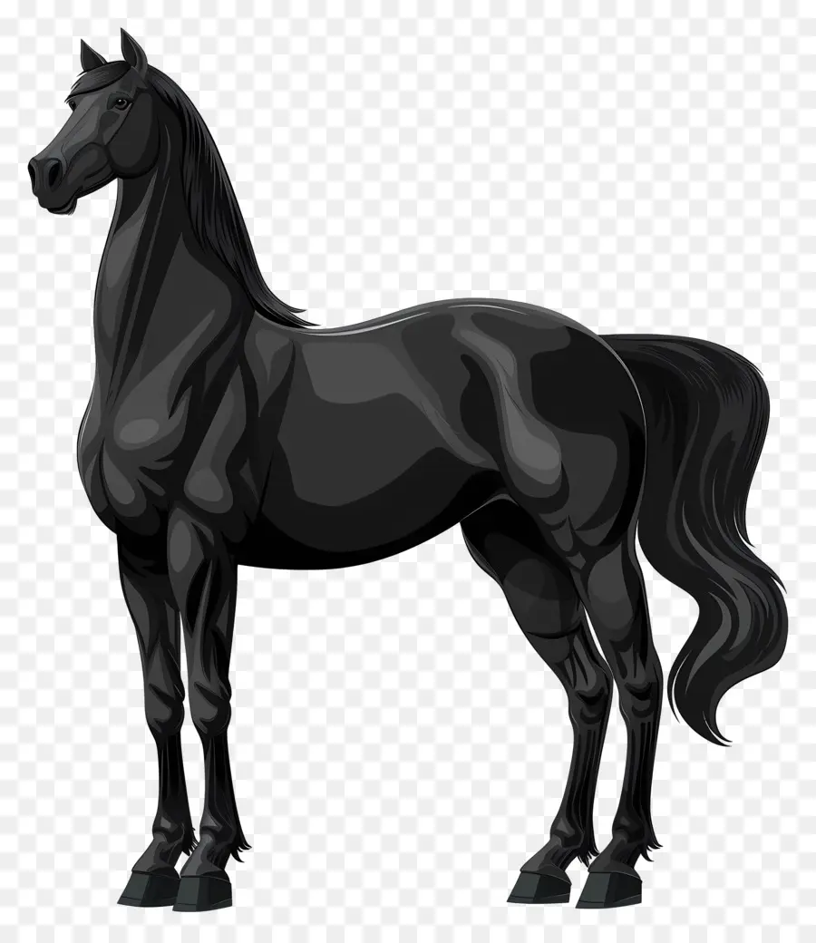 Caballo Negro，Melena Blanca PNG