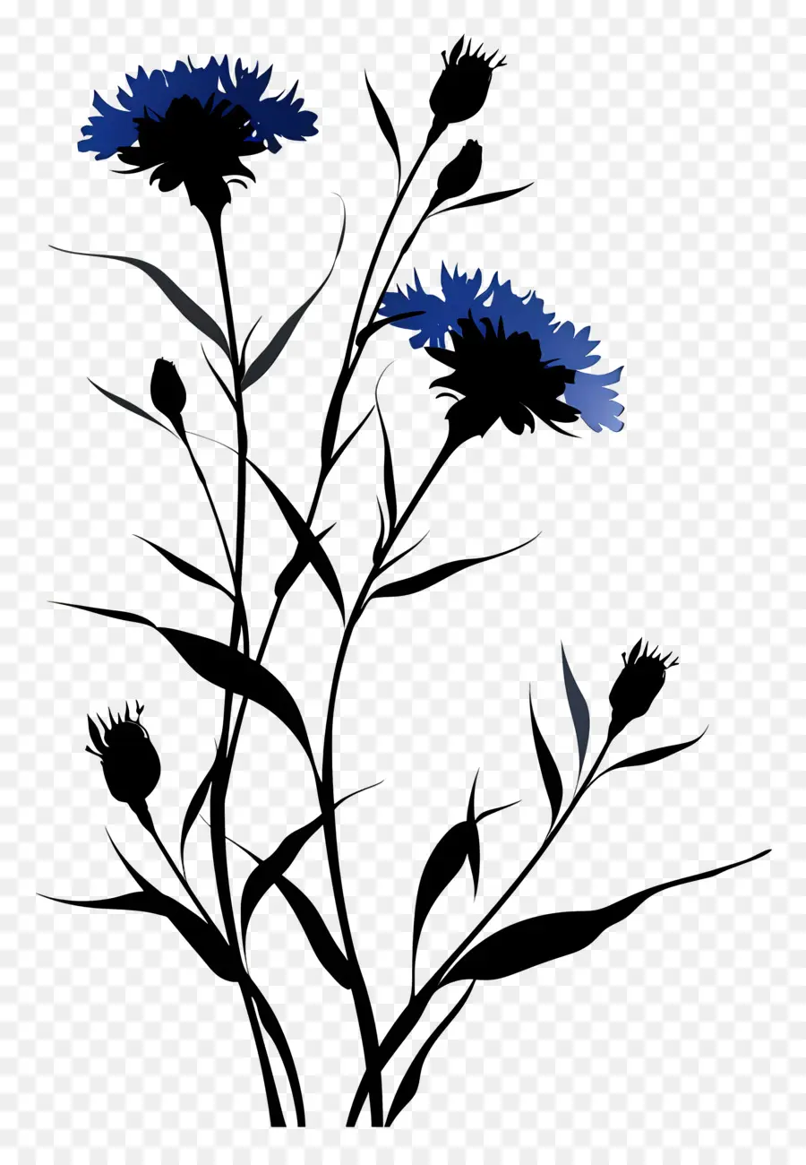 Las Flores De La Silueta，Flores De Color Azul PNG