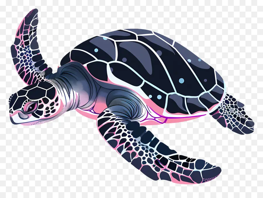 Tortuga De Mar，Tortuga Negra PNG